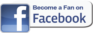 Facebook-Fan-Page-logo